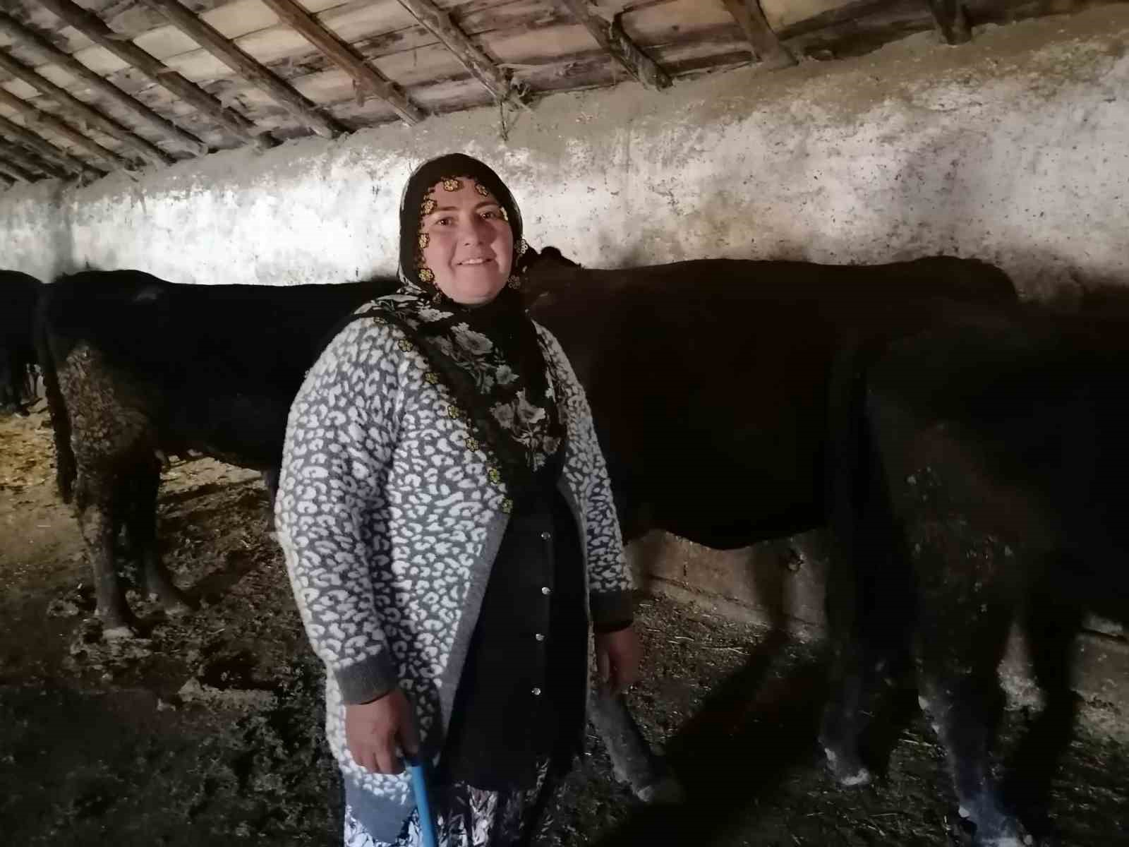 Erzurum’un Hınıs ilçesinde 