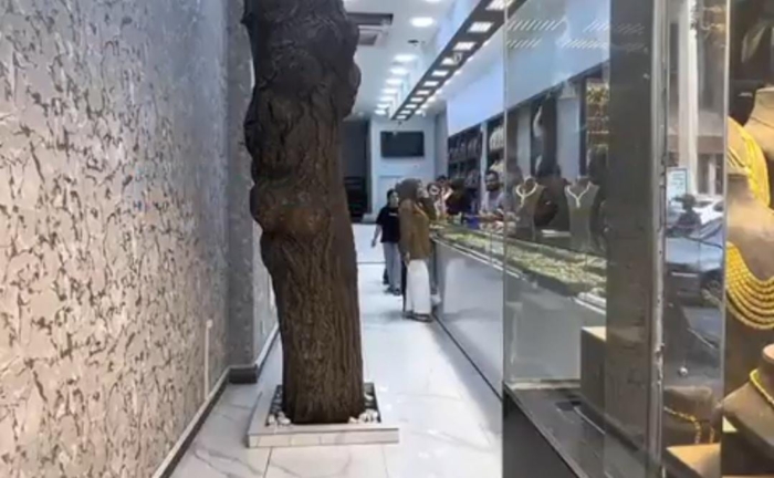 Van’da doğa sevgisini gösteren örnek bir karar alındı. Kentte inşa