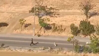 Ankara – Yenimahalle’de sabah saatlerinde yürüyüş yapan bir vatandaş, başıboş