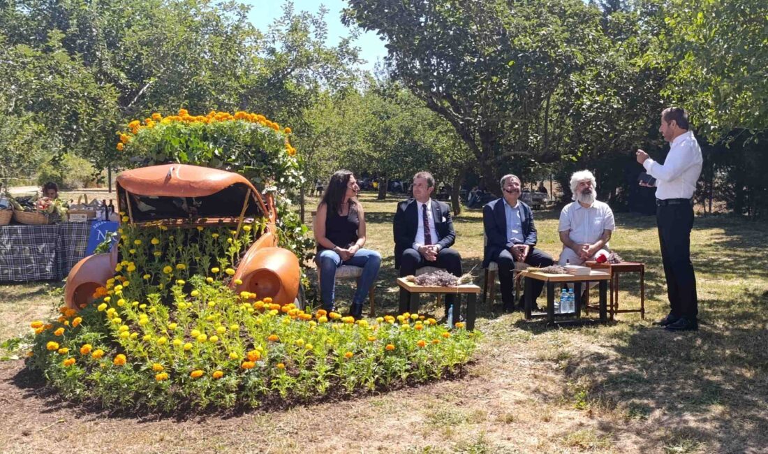 5 Temmuz 2025 Cumartesi günü, Çatalca’daki Aziz Nesin Vakfı’nda düzenlenen