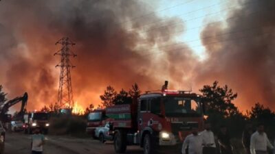 İstanbul’un Beykoz ilçesinde, ormanlık alana atılan işaret fişeği yangına neden