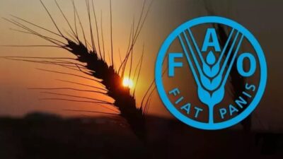 Türkiye, Birleşmiş Milletler Gıda ve Tarım Örgütü’nün (FAO) en üst