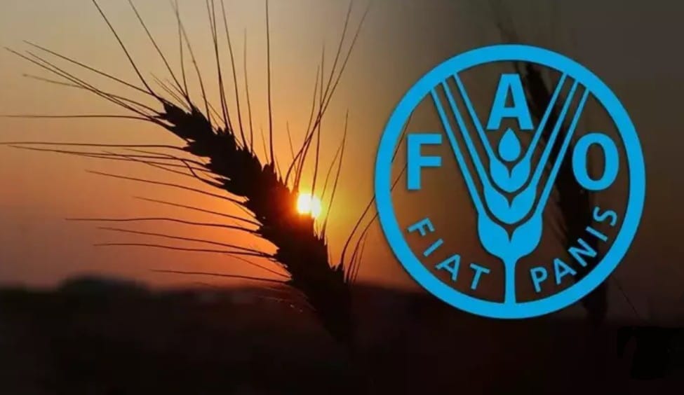 Türkiye, Birleşmiş Milletler Gıda ve Tarım Örgütü’nün (FAO) en üst