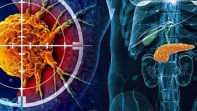 ABD'de Boston ve Kaliforniya Üniversiteleri’nden bilim insanları, pankreas ve bağırsak