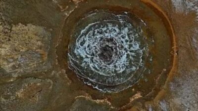 Aksaray’ın Yeşilova beldesinde, doğa bilim insanlarını şaşırtan bir olay yaşanıyor.