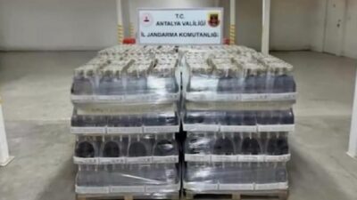 İçişleri Bakanı Ali Yerlikaya, Antalya’da jandarma ekiplerince düzenlenen operasyonda 119