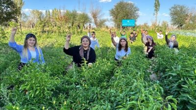 Afyonkarahisar Ülkü Ocakları İl Başkanı Mesut Çetinkaya, Asena ve Ortaöğretim