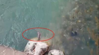 Van’ın Çatak ilçesinde yer alan ve doğal güzelliğiyle öne çıkan