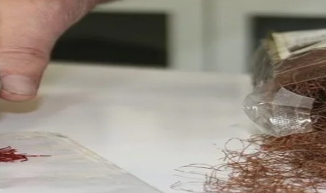 SAHTE SAFRAN TEHLİKESİ BÜYÜYOR Dünyanın en değerli baharatı olarak bilinen