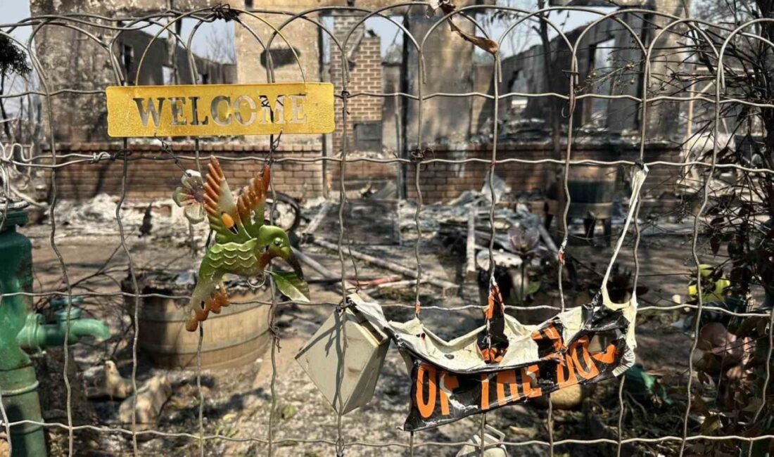 ABD’nin California eyaletinde Salı günü yıldırım düşmesi sonucu 20 ayrı