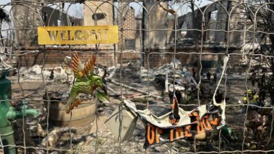 ABD’nin California eyaletinde Salı günü yıldırım düşmesi sonucu 20 ayrı