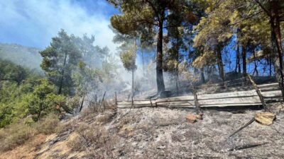 Adana’nın Feke ilçesinde ormanlık alanda yangın çıktı. Yangına ekipler havadan