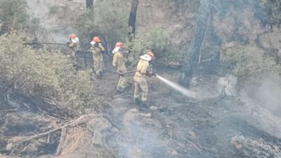 Adana’nın Sarıçam ilçesinde çıkan orman yangını, ekiplerin havadan ve karadan