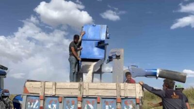 Bitlis’in Adilcevaz ilçesinde üreticilerin önemli geçim kaynaklarından biri olan fasulyede