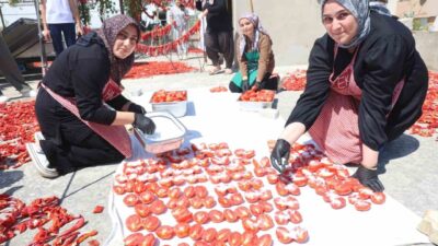 Hatay’da afetzede kadınların yoğun mesaisiyle kavurucu sıcakta kuruttuğu domatesler, kış