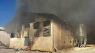 Afyonkarahisar’ın Başmakçı ilçesinde tavuk çiftliğinde çıkan yangında çok sayıda tavuk