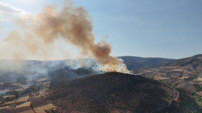 Tokat’ın Zile ilçesinde ağaçlık alanda yangın çıktı. Bölgeden yükselen dumanlar