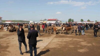 Ağrı’da, şap hastalığı nedeniyle geçici süreyle kapatılan Canlı Hayvan Borsası,