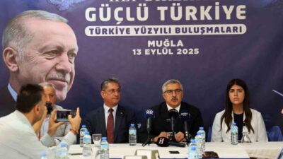 AK Parti Genel Başkan Yardımcısı, Kültür ve Sanat Politikaları Başkanı