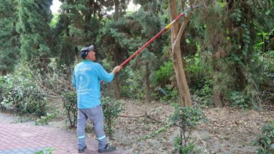 Alanya Belediyesi Park ve Bahçeler Müdürlüğü, 2025-2026 eğitim-öğretim yılı için