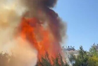 Antalya’nın Alanya ilçesinde çalılık alanda çıkan yangın seralara sıçradı. Çıkan