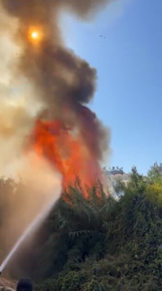 Alanya’da çalılık alanda çıkan yangında 2 sera ve 2 dönüm arazi zarar gördü Antalya’nın Alanya ilçesinde çalılık alanda çıkan yangın seralara sıçradı. Çıkan
