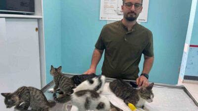 Antalya’nın Alanya ilçesinde motosikleti ve köpeğiyle iş yeri önüne gelen