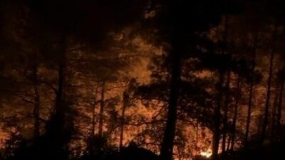 Antalya’nın Alanya ilçesinde ormanlık alanda yangın çıktı. Edinilen bilgiye göre,