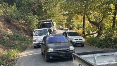 Zonguldak’ın Alaplı ilçesine bağlı Aşağıdağ Köyü’nde, ana yol üzerinde bir