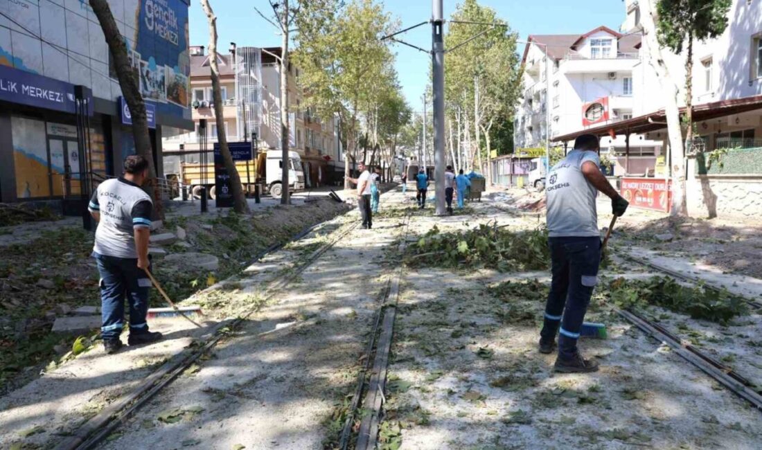 Kocaeli Büyükşehir Belediyesi, Alikahya Tramvay Hattı üzerinde yer alan ağaçların
