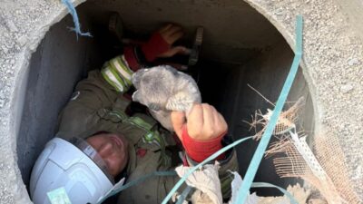 Hatay’da 5 metrelik kuyuya düşen yavru köpek, itfaiye ekipleri tarafından