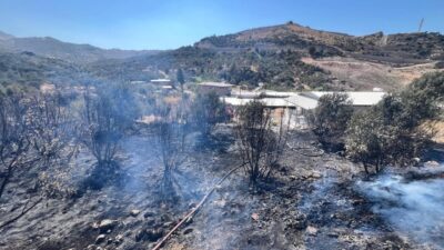 Hatay’ın Antakya ilçesinde bahçede çıkan yangın evlere sıçramadan söndürdü. Yangın,