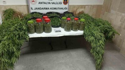 Antalya İl Jandarma Komutanlığı ekipleri, Korkuteli ilçesinde uyuşturucuya yönelik gerçekleştirdiği