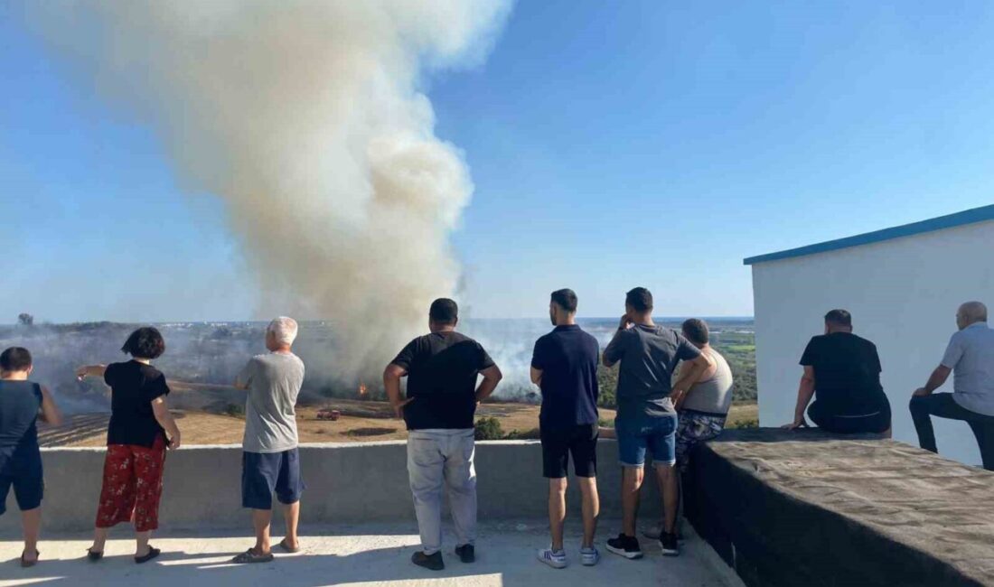 Antalya’nın Serik ilçesinde makilik alanda çıkan yangın zeytin ağaçlarına zarar