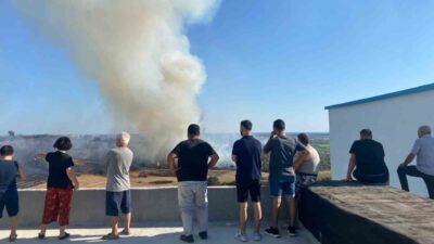 Antalya’nın Serik ilçesinde makilik alanda çıkan yangın zeytin ağaçlarına zarar