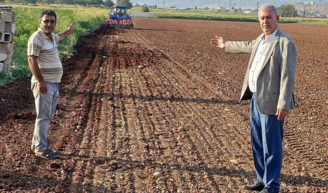 Gaziantep’te tecilli Araban sarımsağı ekimine başlandı. Gaziantep’in Araban ilçesinde Avrupa