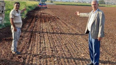 Gaziantep’te tecilli Araban sarımsağı ekimine başlandı. Gaziantep’in Araban ilçesinde Avrupa