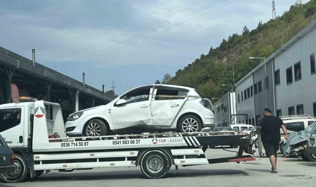 Araca giren arı, kazaya yol açtı: 2 yaralı Kastamonu’nun Abana ilçesinde arı nedeniyle sürücünün kontrolü kayıp ettiği araç