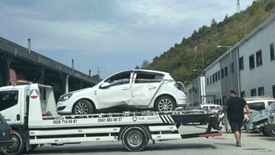Kastamonu’nun Abana ilçesinde arı nedeniyle sürücünün kontrolü kayıp ettiği araç