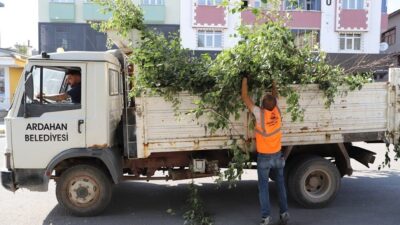 Ardahan Belediyesi Temizlik İşleri Müdürlüğü ekipleri, yeşil alanların bakım ve