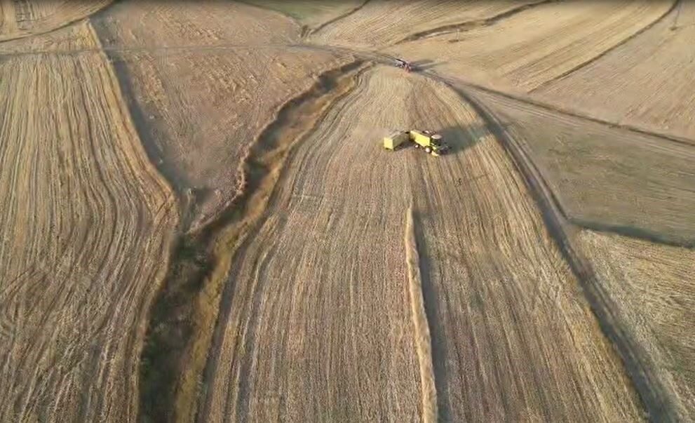 Ardahan’da arpa ve buğday hasadı sürüyor Ardahan’da çiftçiler hububat hasadına devam ediyor. Doğu Anadolu Bölgesinin önemli