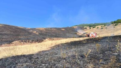 Aşkale’nin Güneyçam Köyü’nde çıkan anız yangınında 100 dönüm alan kül