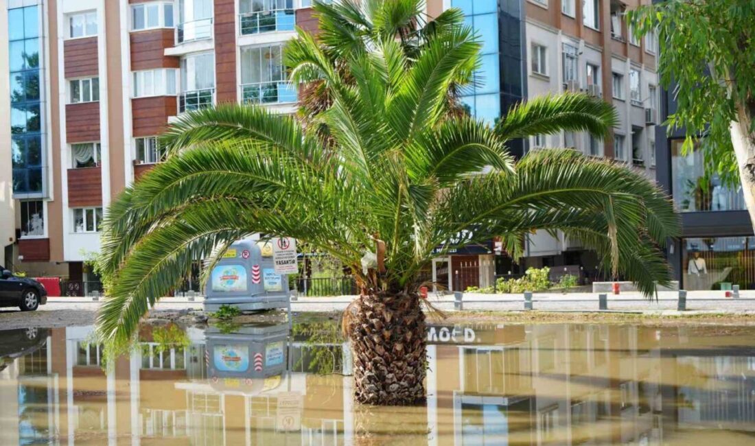 Samsun’un Atakum ilçesinde dün akşam bir saatte metrekareye 124,8 kilo