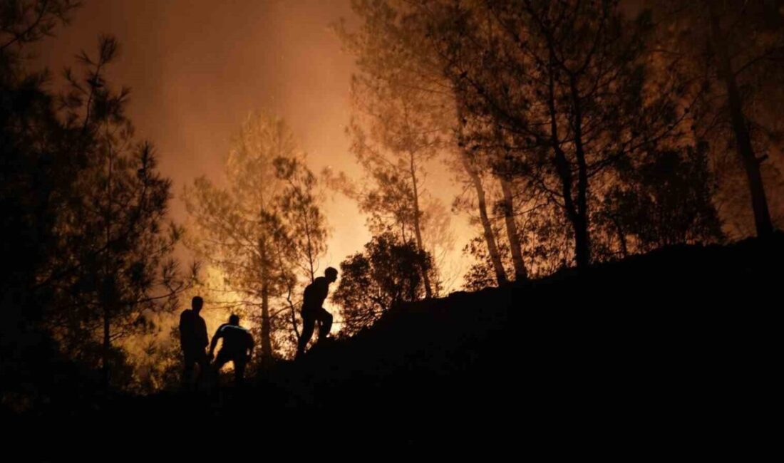 Muğla’nın Köyceğiz ve Milas ilçesinde çıkan orman yangınları ile mücadele
