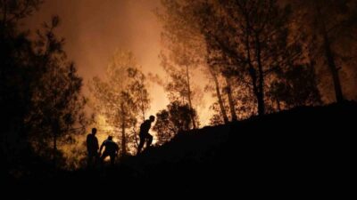 Muğla’nın Köyceğiz ve Milas ilçesinde çıkan orman yangınları ile mücadele