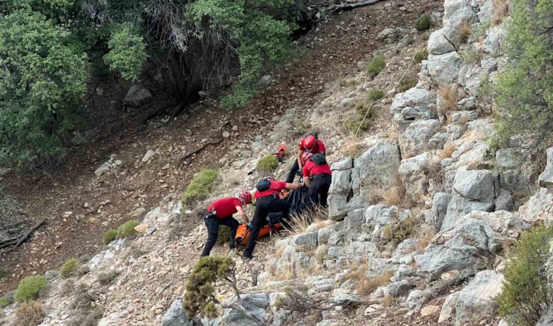 Muğla’nın Seydikemer ilçesinde yürüyüş yapan bir grup tarafından bulunan cesedin
