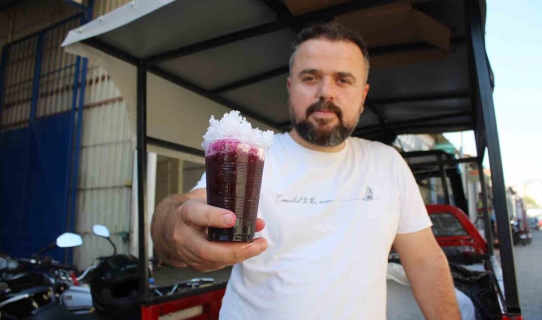 Aydın’ın Efeler ilçesinde seyyar aracına yüklediği karlar ile sokak sokak