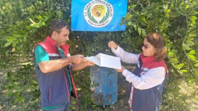 Aydın İl Tarım ve Orman Müdürlüğü, turunçgil üreticilerini Akdeniz meyve