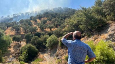 Aydın’ın Efeler ilçesinde zeytinlik alanda çıkan yangın kontrol altına alınırken,