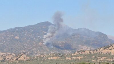 Aydın’ın Efeler ilçesindeki zirai alanda yangın çıktı. Edinilen bilgiye göre,